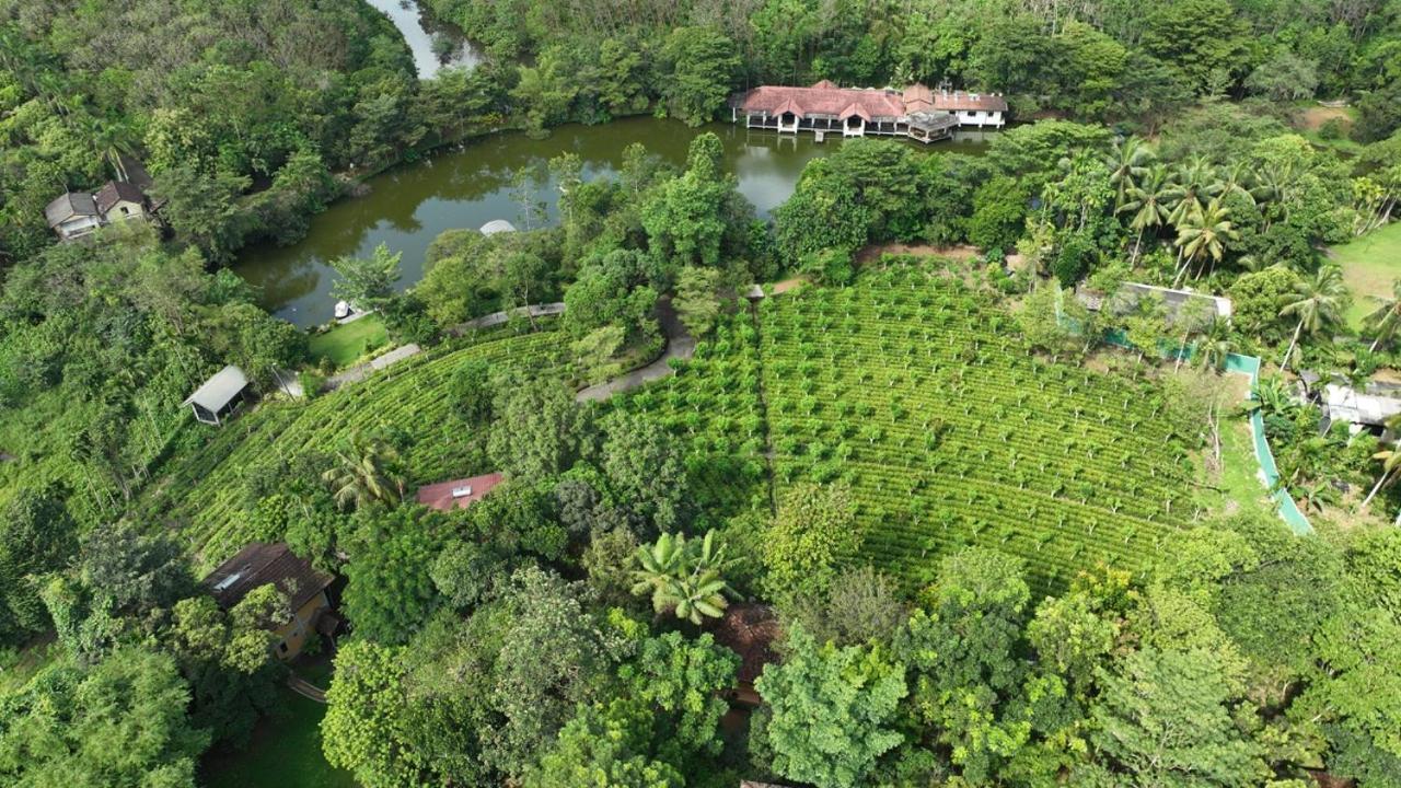 Lake Serenity Resort & Spa Kuruwita Exterior foto